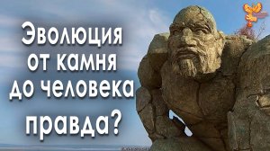 Эволюция от камня до человека