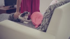 За кадром: СОБАКИ И ДЕТИ | Чихуахуа Софи 🐕👶