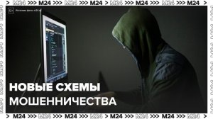 Киберэксперты предупредили о новых схемах мошенничества - Москва 24