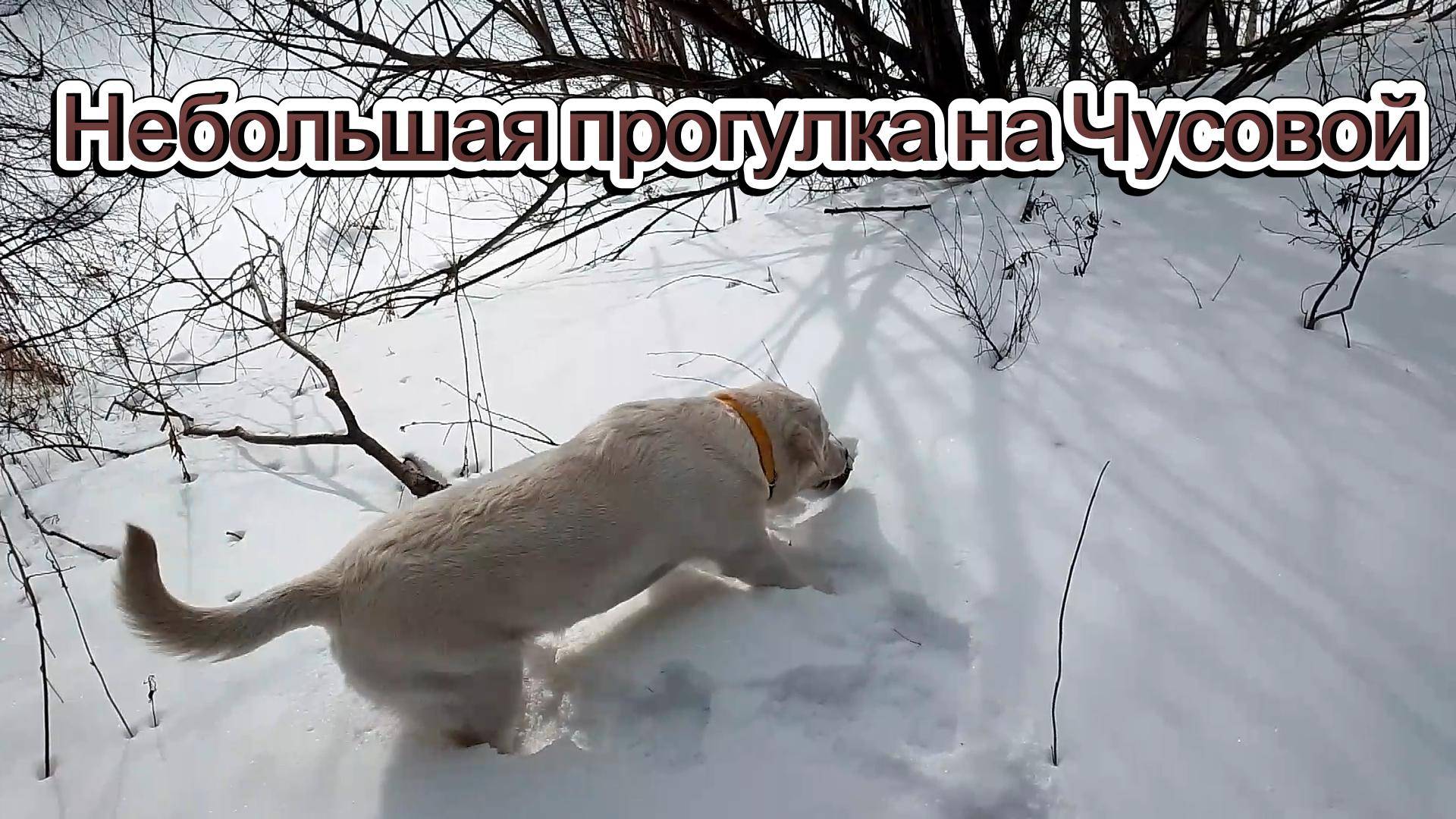 Небольшая прогулка на Чусовой