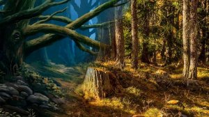 Дарахт тушда курса нима булиши хакида малумот