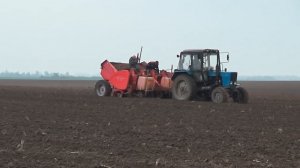 Посадка картофеля трактором МТЗ 82