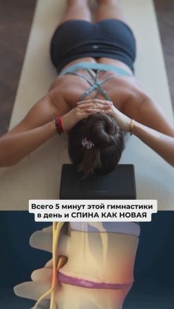 Всего 5 минут для вашей осанки. Подпишись и читай описание ✅