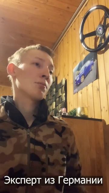 Из за чего краснеет ножка у подсолнечника? смотреть онлайн