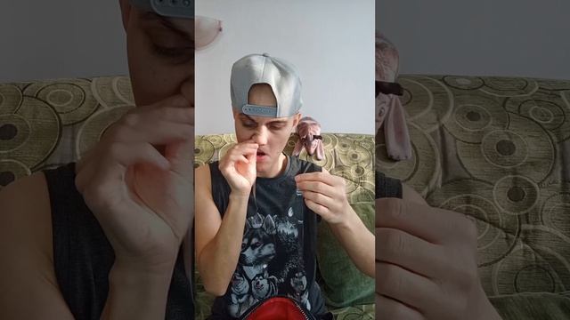 ЛЮБОПЫТСТВО #shortsvideo #fyp #comedy #funny #юмор #смешновидео #жиза