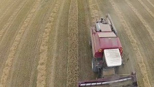 Комбайн ПАЛЕССЕ GS10 залог Вашего успеха