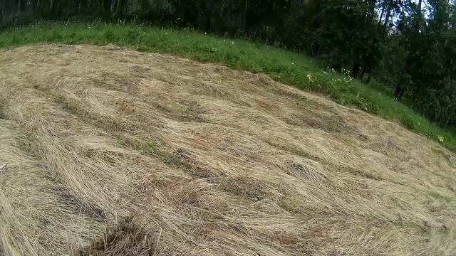 Главное вовремя остановиться. Не догрёб сено  - вовремя закончил прессовать. смотреть онлайн