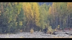 По следам Григория Федосеева