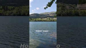 "Водяной" уж или "шахматная" гадюка?