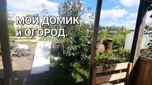 Купили заброшенную дачу / Обзор домика🏡 Уже лучше 🍃Трава растёт как на дрожжах 🍃