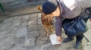 Запах весны!🐶