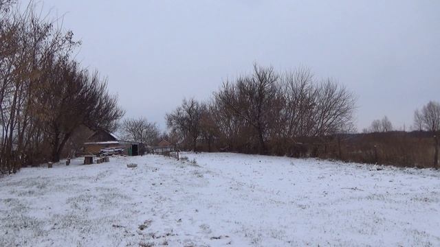 Длинный лук