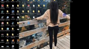 как установить мод на фс 17