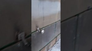 Курятник со шторкой