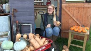Lavender and Leeks Allotment - October 2020 - Pumpkin and Squash Harvest