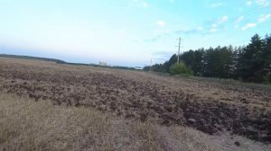 Трактора пашут землю. К-742ПР и КЕЙС-530 с чизельными плугами.