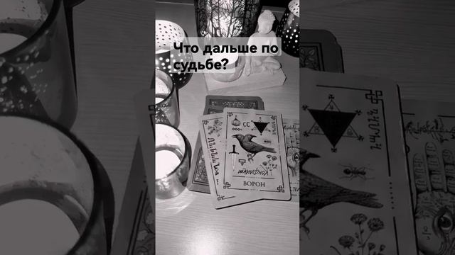Что дальше по судьбе? #letarot #гадания #таро #гаданиянатаро #гаданиятаро смотреть онлайн