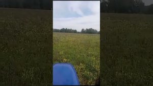 Lovol TE-244 в работе с косилкой Wirax 1.35