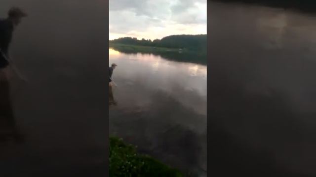 Поймал карпа 6кг на червя на поплавочную удочку смотреть онлайн