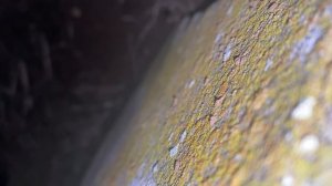 Камера Сняла НЕЧИСТУЮ СИЛУ