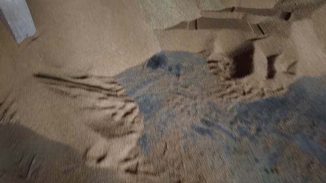 В складах нет места. Грузим и вывозим зерно. Цены на пшеницу и подсолнечник 2021. Погрузчик GrandMa смотреть онлайн