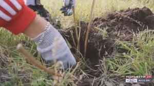 Fix Price. Акция "Добрые дела". Реабилитационный центр «Гармония» ("Новости Тольятти" 28.09.2020)