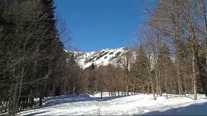 10.03.2025 Устье ручья Мишоко Яворова поляна