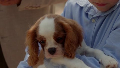 Финансовая грамотность