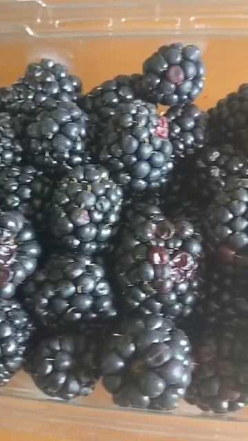 #blackberries#foodshorts#fruitshorts#japan смотреть онлайн