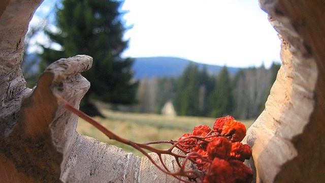 Rjabina - M. Njegomir by taVi смотреть онлайн