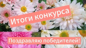 Итоги конкурса. Поздравляю победителей!