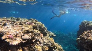 Обзор бухты Шаркс бей ( Shark's Bay) 8 серия. Море рыбы, рифы, море..