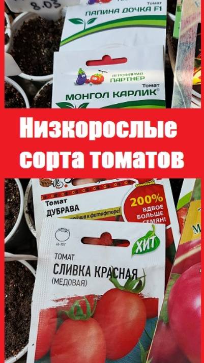 Набор низкорослых сортов томатов, которые я посеяла в этом году