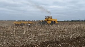 Легендарний трактор К-701!!!!🚜🚜Дискування соняшнику дисковою бороною "Фрегат"🌻🌻🌻