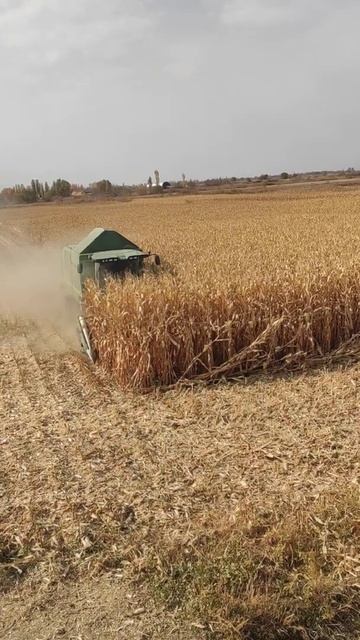 уборка кукурузы Пионер (1) смотреть онлайн