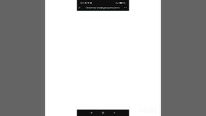 Делаю верификацию вичат 2022