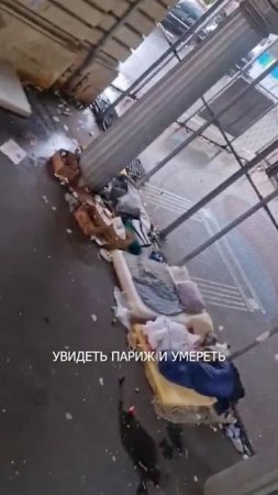 🙀 Увидеть Париж и умереть