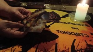 С кем нам по пути ,с кем-нет🤕❓🕵️⚖️