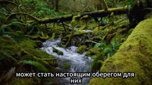 2 июня Фалалеев День. Что нельзя делать 2 июня в Фалалеев День. Традиции и Приметы Дня
