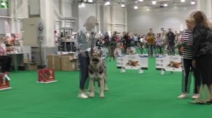 Демираль Ураган