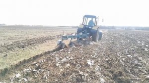 Восстановленный трактор МТЗ 1221 в пахоте с плугом ПКМП 4 - 40Р