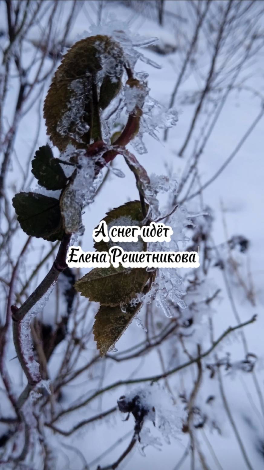 А снег идёт - шлягер 60-х, исп. Елена Решетникова