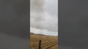 пашет трактор т4 алтай#зябь#30см глубина#shorts