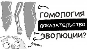 Гомология: Доказательство эволюции или разумного замысла?