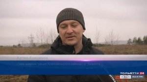 Сотрудники корпорации «Тольяттиазот» высадили саженцы сосны и березы ("Новости Тольятти" 05.11.2020)