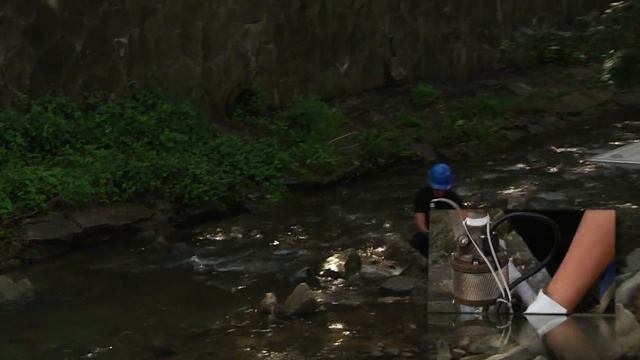 GreenEvo: WOFIL смотреть онлайн