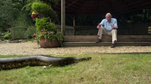 Курьёзы природного мира 3 сезон 3 серия «Растяжимые тела» (документальный сериал, 2013)