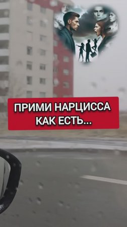 ПРИМИ НАРЦИССОВ КАК ЕСТЬ