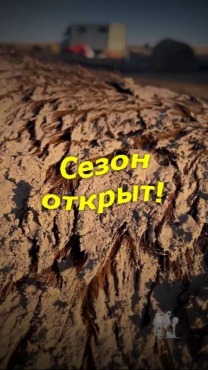 Свинский сезон открыт! А ваши как?