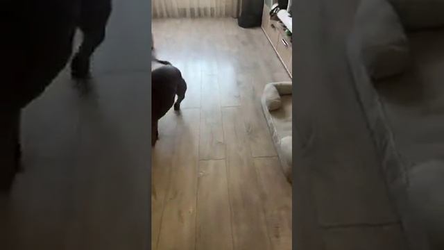 Смешные истории ЛУЧШИЕ ПРИКОЛЫ ССЫЛКА В ОПИСАНИИ!